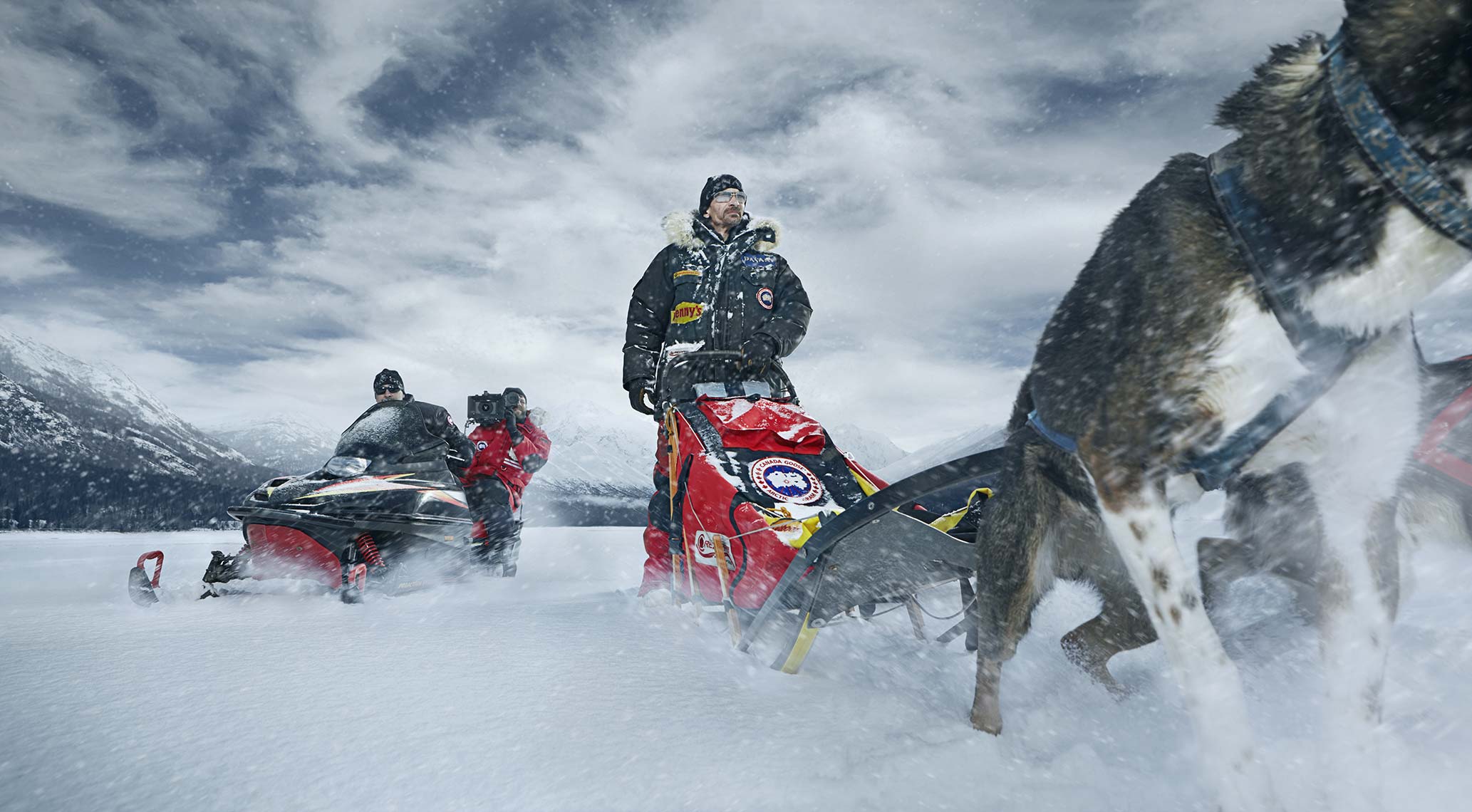 CanadaGoose_Chase_129-9.jpg