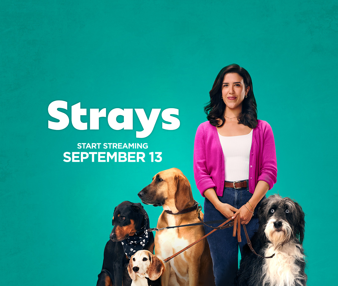 Strays-S2-KeyArt-V2-KC-Armstrong
