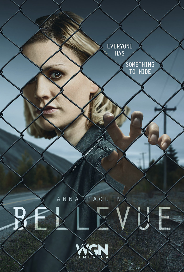bellevue_chain-link